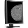 NEC 21" Grayscale 5-Megapixel Medical Diagnostic Monitor