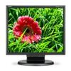 NEC E171M-BK 17-Inch Screen LCD Monitor