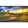 NEC 46" LED Backlit Professional-Grade Large Screen Display with Integrated Tuner P463-AVT