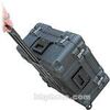 SKBCASES/STEPHEN GOULD 3R2222-12B-CW