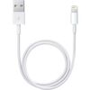 Apple USB Type-A to Lightning Cable (1.6')