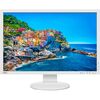 NEC PA243W 24.1" 16:10 Wide Gamut IPS Monitor (White)