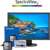 NEC PA243W-BK-SV 24.1" 16:10 Wide Gamut IPS Monitor (with SpectraView II, Black)