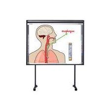 Hitachi FXDUO-88W 88" StarBoard FXDuo Interactive Whiteboard