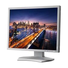 NEC P212 21" 4:3 LED Backlit Professional IPS Monitor (White)