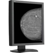 NEC 21" Grayscale 5-Megapixel Medical Diagnostic Monitor