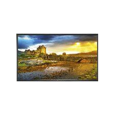 NEC 46" LED Backlit Professional-Grade Large Screen Display with Integrated Tuner P463-AVT
