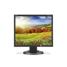 NEC MultiSync EA193MI-BK 19-Inch Screen LED-lit Monitor