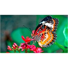 Top ponuda NEC 46" Ultra-Narrow Bezel Display (Brightness 500 cd/m²) - LaptopPlaza uvoz i distribucija laptopova, projektora i druge IT opreme