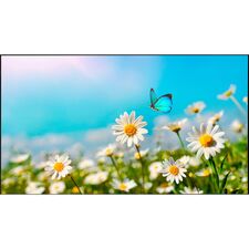 Top ponuda NEC 46" Ultra-Narrow Bezel Display (Brightness 700 cd/m²) - LaptopPlaza uvoz i distribucija laptopova, projektora i druge IT opreme