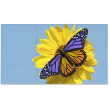 Top ponuda NEC 55" Ultra-Narrow Bezel 4 Display Video Wall - LaptopPlaza uvoz i distribucija laptopova, projektora i druge IT opreme