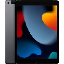 Apple - 10.2-Inch iPad (9th Generation) with Wi-Fi + Cellular - 64GB - Space Gray (Unlocked)
