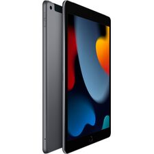 Apple - 10.2-Inch iPad (9th Generation) with Wi-Fi + Cellular - 256GB - Space Gray (Unlocked)