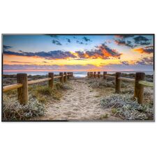 NEC C551 55"-Class Full HD Commercial LED Display