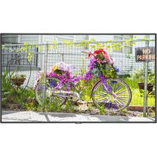 NEC P-Series 40" LED Display and Raspberry Pi Bundle
