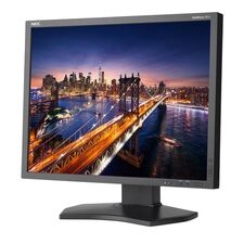 NEC P212-BK 21" 4:3 LED Backlit Professional IPS Monitor (Black)