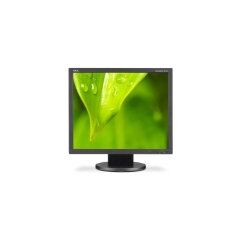 NEC AccuSync AS193I-BK 19-Inch Screen LCD Monitor