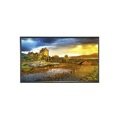 NEC 46" LED Backlit Professional-Grade Large Screen Display with Integrated Tuner P463-AVT