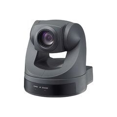 Sony 1/4-Inch CCD Pan/Tilt Zoom Color NTSC Video Camera EVI-D70
