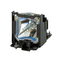 Panasonic Replacement Lamp for PRM- 10/20
