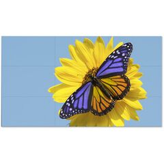 NEC 55" Ultra-Narrow Bezel 4 Display Video Wall