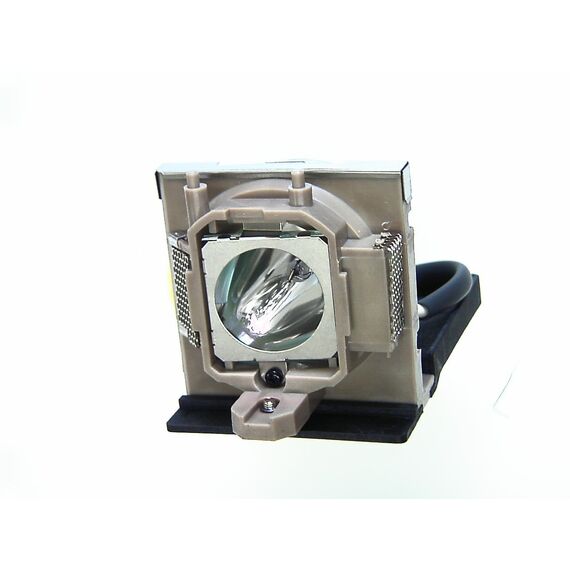 BENQ   5J.J4V10.011