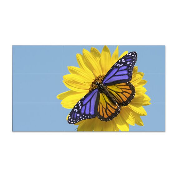 NEC 55" Ultra-Narrow Bezel Display 435-2001