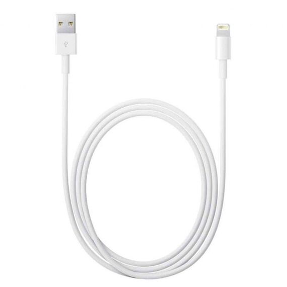 Apple USB Type-A to Lightning Cable (6.6')