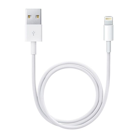 Apple USB Type-A to Lightning Cable (1.6')