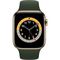 Apple Watch Series 6 (GPS + Cellular, 40mm, Gold Stainless Steel, Cyprus Green Sport Band)